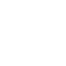 Gotham Motor Services
